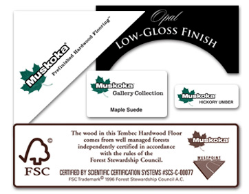 Die Cut Labels